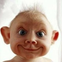 Connor Curran