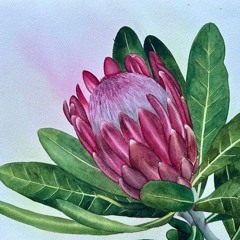 Freeloadas - Life Of The Party - Pop Mix ( Feat.LeoNaro, Scoot BornLuv, King Illah & Cassaronie)