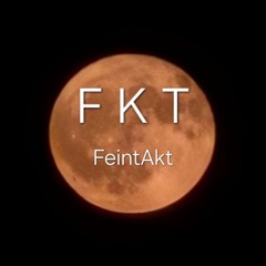 Feintakt