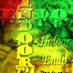 Indoor Endo Music