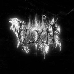 VLXN