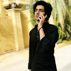 Taseen mustafa