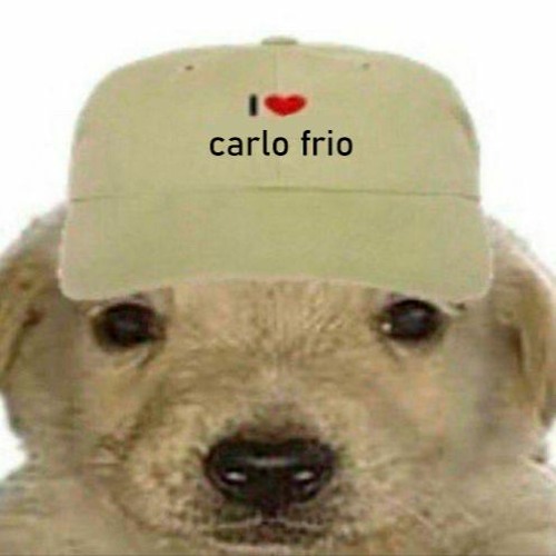 CARLO FRIO (@carlo.frio)’s avatar