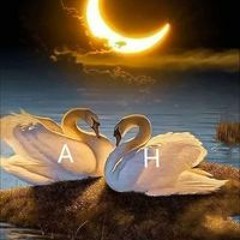 Fatma Hafez