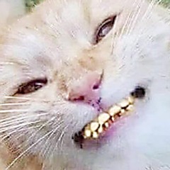 adam