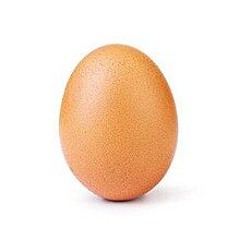 eggs