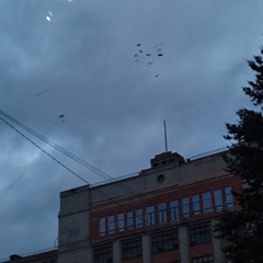 Xhesk