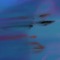 ifeartheworldgoingdeaf