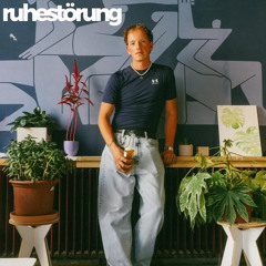 ruhestörung