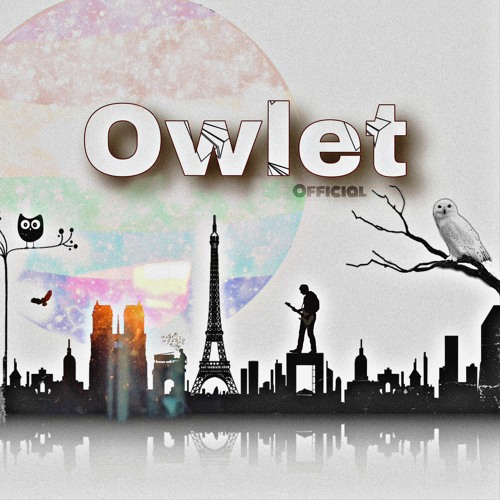 Owlet Official’s avatar