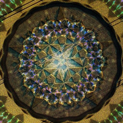neURonSymMEtry