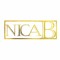 NICA B