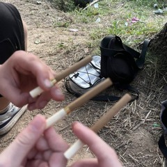 zlylyly