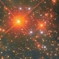SUNCEA