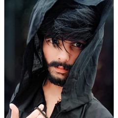 DistroKid Wheel of Playlist