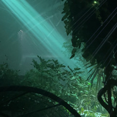 Nima