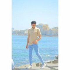 Mohsen Y. Aboelaneen