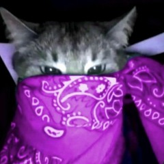Meowru