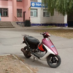 Kaktus0403