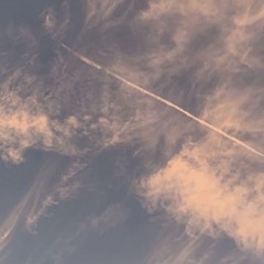 Star Witness Teaser 2025