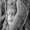 T'KUVMAA -Metacortex Rec -