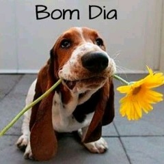 User 936910442