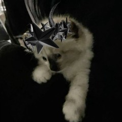 Miaehhh