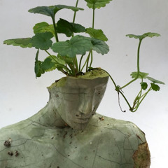 ielgreen