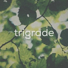 trigrade
