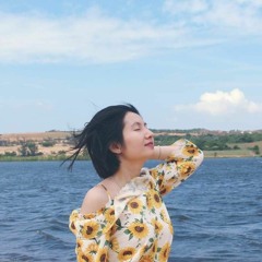 Minh Hạnh Radio
