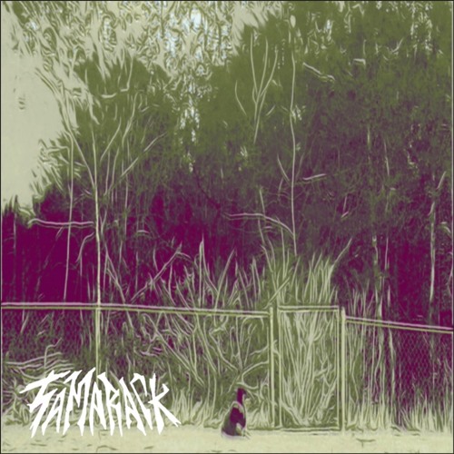 Stream TAMARACK music | Listen to songs, albums, playlists for free on ...