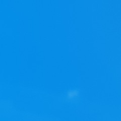 bluetco