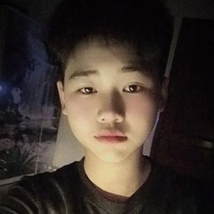 Anh Nguyen Duc