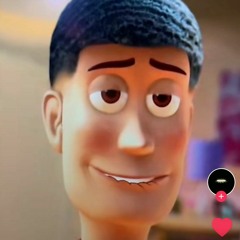 Stan Van Ryckeghem