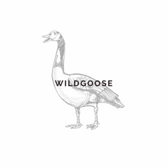 Wildgoose