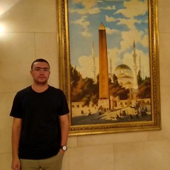 Mohamed Tarek