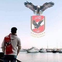 Mohamed El-Sharkawy