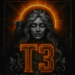 SturmT3 Z•V•T [0.8.E.R]