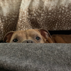 Fred