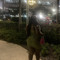 May$