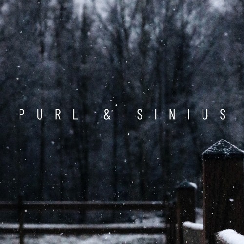 Purl & Sinius’s avatar