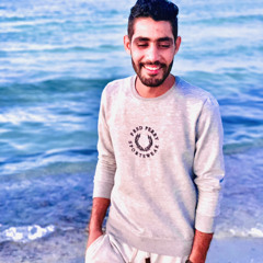 Wael Meshref