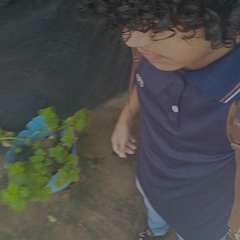 Juan.cms.4