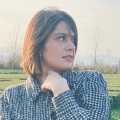 mina mousavi