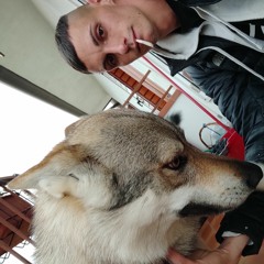 mazztommaso