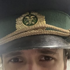 Flyfik