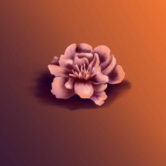 Florin Beats