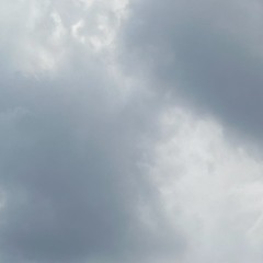 cloversdad