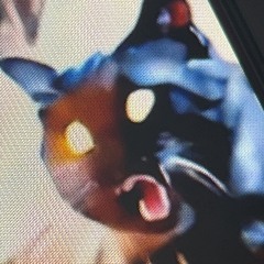 Derek!