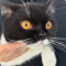 Livvvvvvvvvvvvvvvvvvvvvyyyyyyyyyyyyyyyyyyyyyyyyyyy